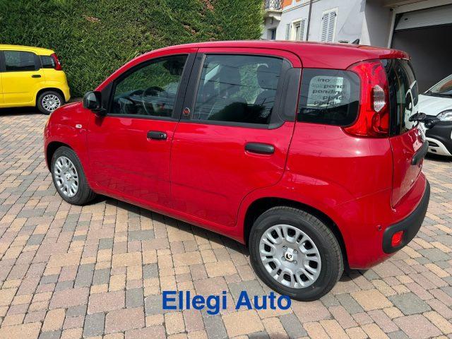 FIAT Pandina PROMO FINANZIAM 1.0 FireFly 65 CV Hybrid Pop KM 0