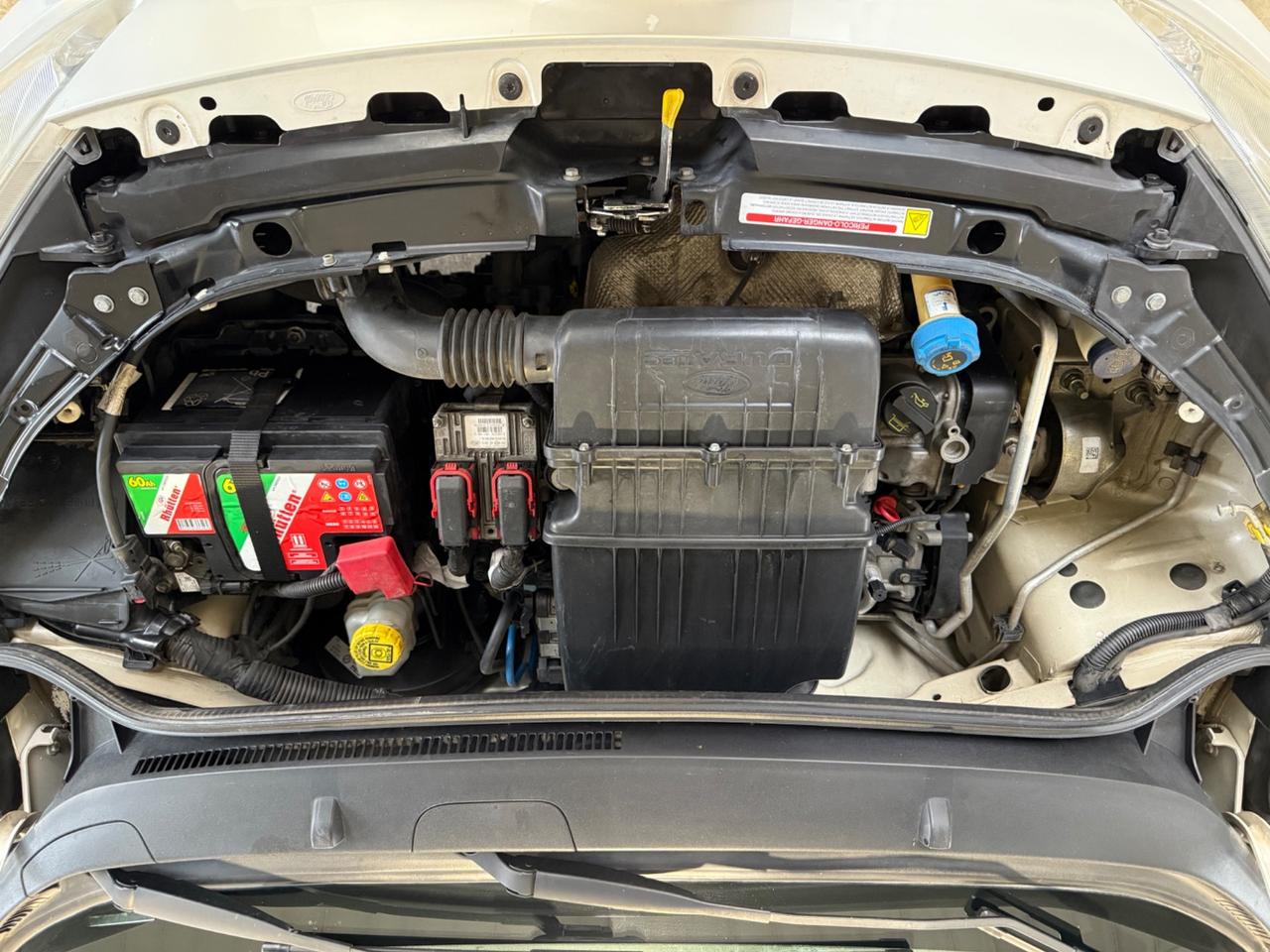 Ford Ka Ka+ 1.2 8V 69CV Titanium CINGHIA NUOVA