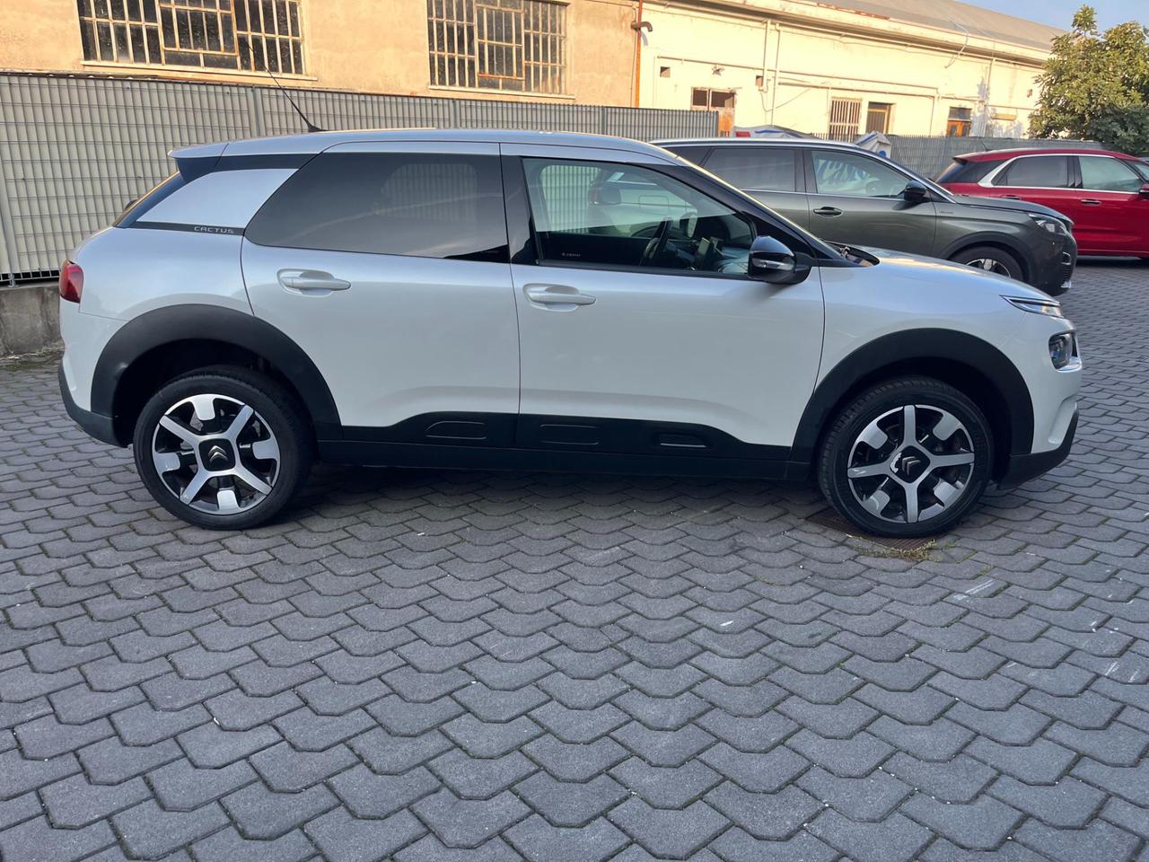 Citroen C4 Cactus 1.6 bluehdi Shine s&s 100cv