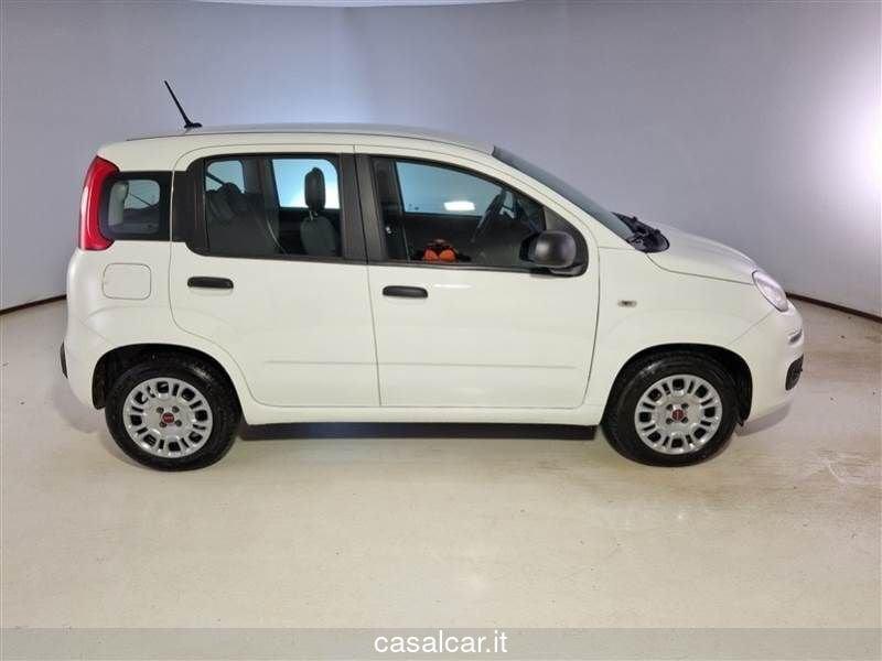 FIAT Panda 1.2 Easy 3 ANNI DI GARANZIA KM ILLIMITATI PARI ALLA NUOVA