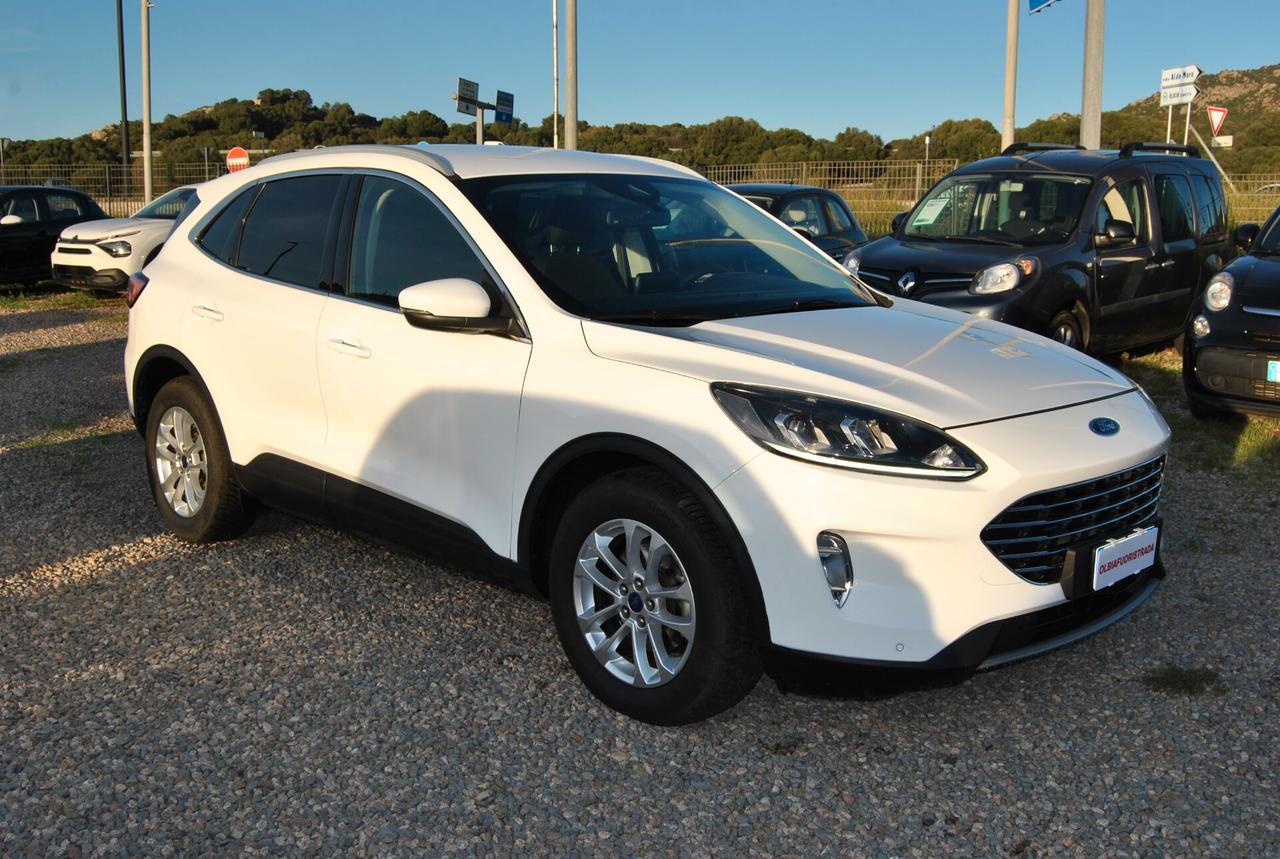 Ford Kuga 1.5 EcoBlue 120 CV 2WD Titanium