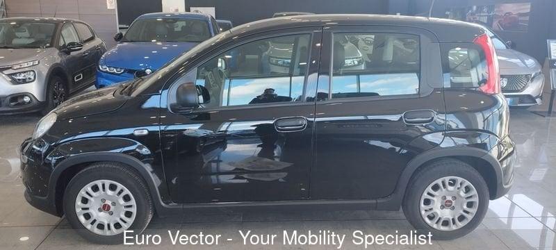 FIAT Panda 1.0 FireFly 70cv S&S Hybrid