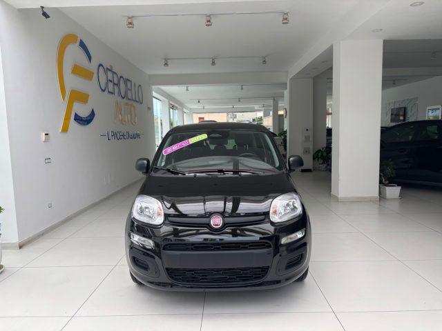 FIAT Panda 1.0 FireFly S&S Hybrid da ?139,00 mensili