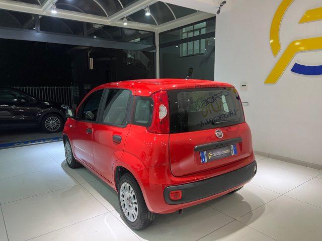 FIAT Panda 1.2 EasyPower gpl da ?119,00 mensili