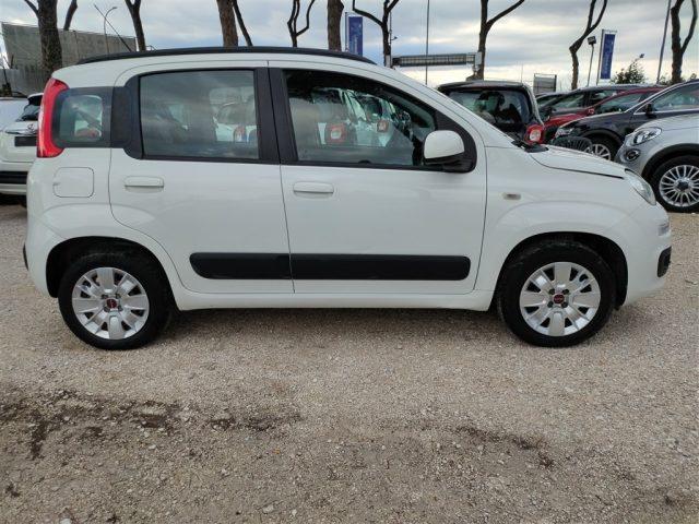 FIAT Panda New 1.2 GPL Lounge CLIMA OK NEOPATENTATI