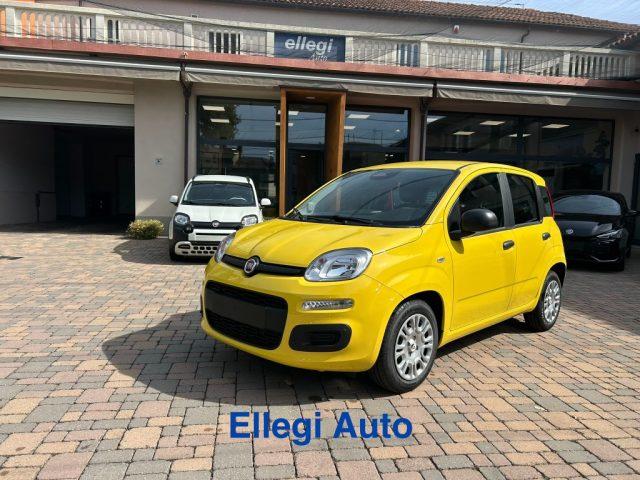FIAT Pandina PROMO FINANZIAM 1.0 FireFly 65 CV Hybrid Pop KM 0