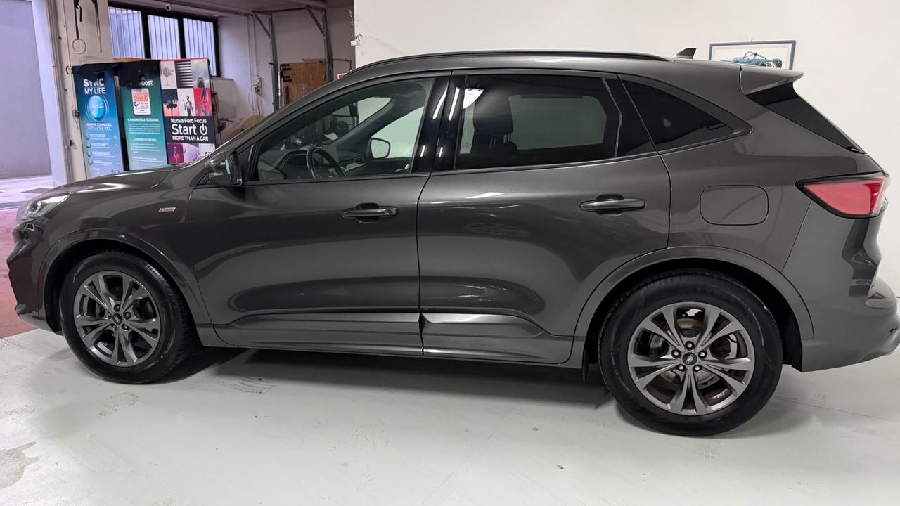 Ford Kuga 1.5 EcoBlue 120 CV 2WD ST-Line x