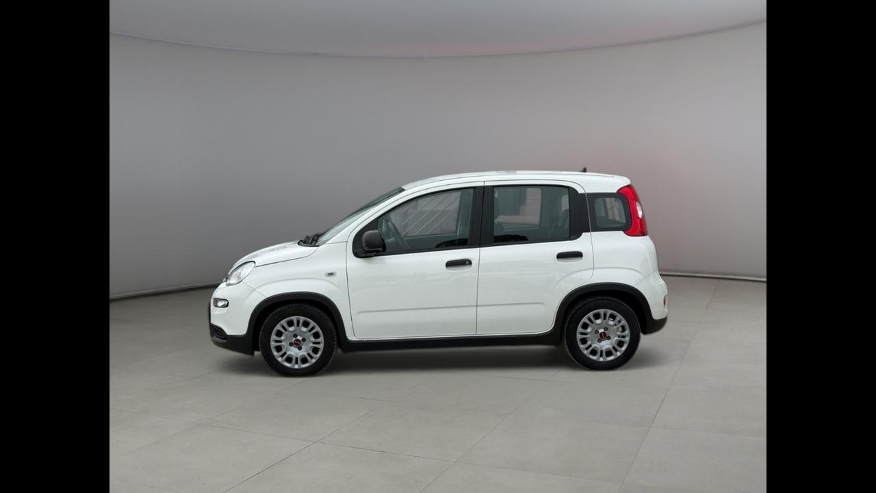 FIAT Panda III 2021 - Panda 1.0 firefly hybrid s&s 70cv 5p.ti