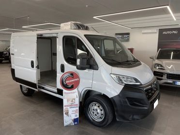 OPEL Movano 33 2.2 BlueHDi 140 CV Furgone Frigo -20°