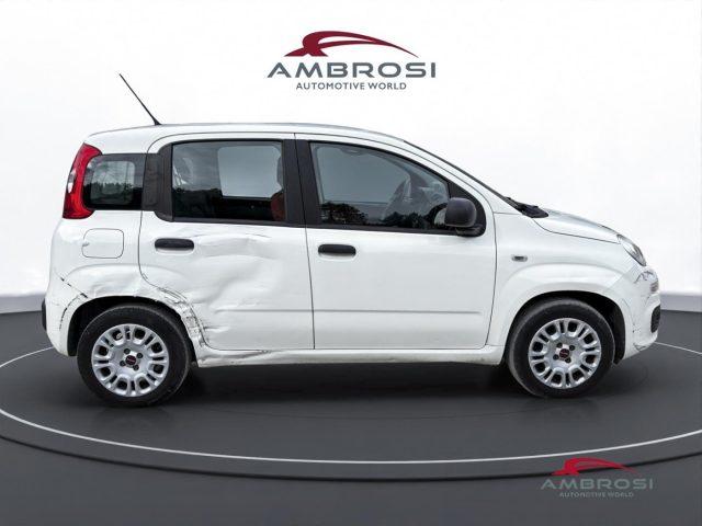 FIAT Panda 1.2 Easy - PER OPERATORI DEL SETTORE