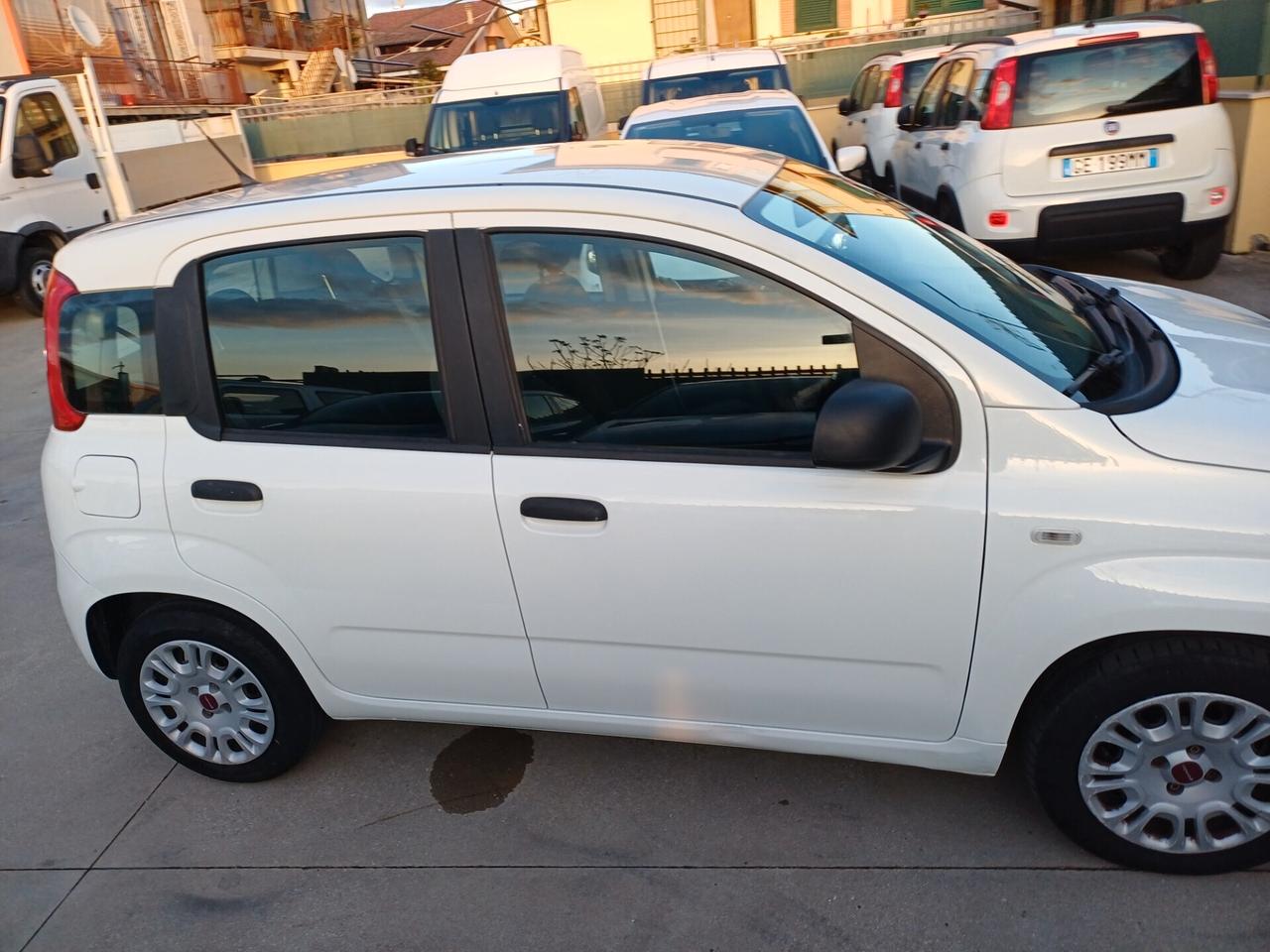 Fiat Panda 1.2 GPL (PREZZO REALE)