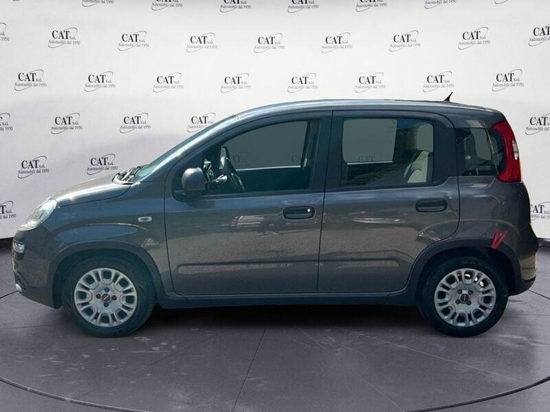 FIAT Panda Panda 1.0 firefly hybrid (prezzo reale)