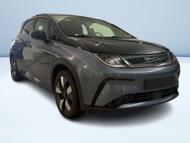BYD DOLPHIN Design