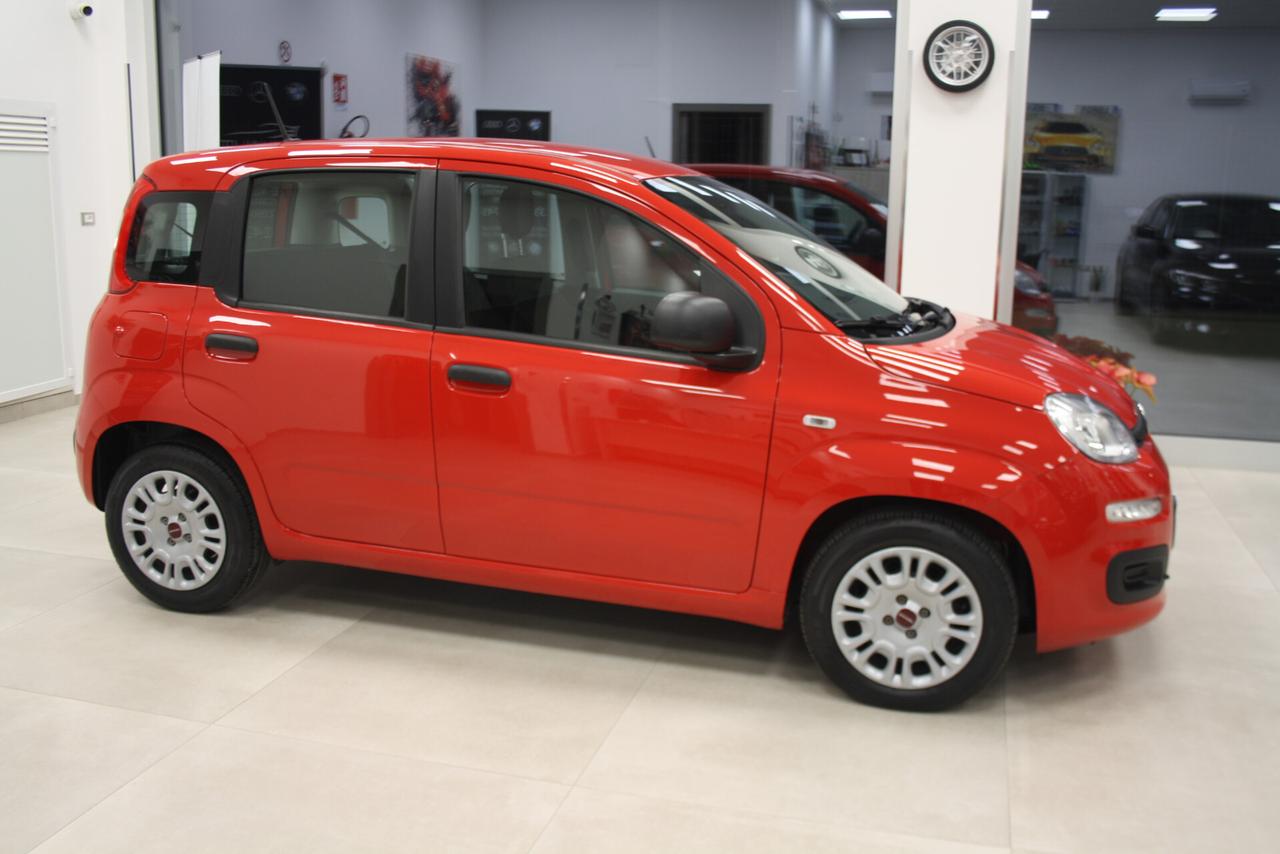 FIAT PANDA 1.0 FireFly 70cv Hybrid