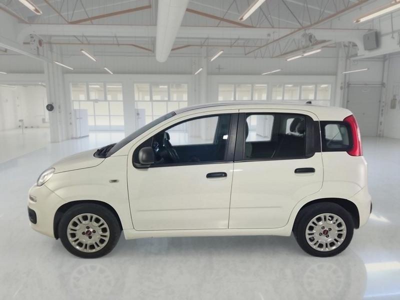 FIAT PANDA 1.0 FireFly 70cv S/S Hybrid 5 PORTE
