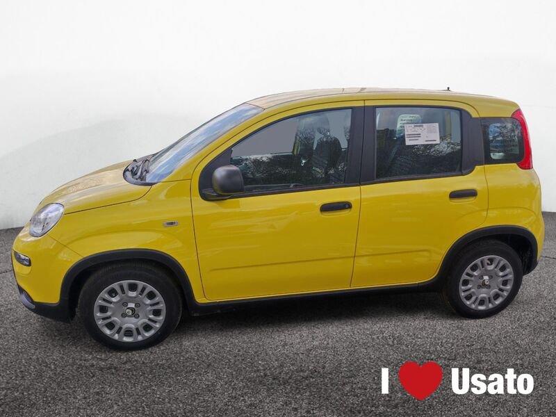 FIAT Panda III 2024 1.0 firefly hybrid s&s 70cv