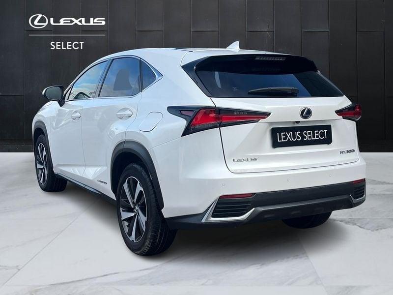Lexus NX NX 300h 2.5 Luxury 4wd cvt IVA ESPOSTA