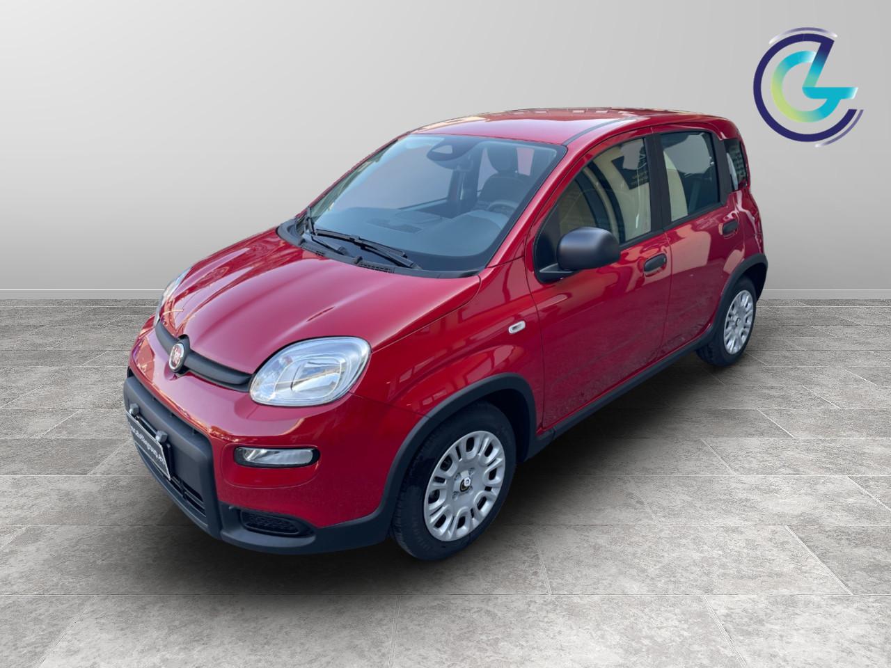 FIAT Panda III 2024 - Panda 1.0 firefly hybrid s&s 70cv