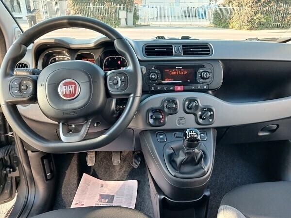 FIAT PANDA HYBRID 1.0 FireFly 70 CV S&S CITY LIFE