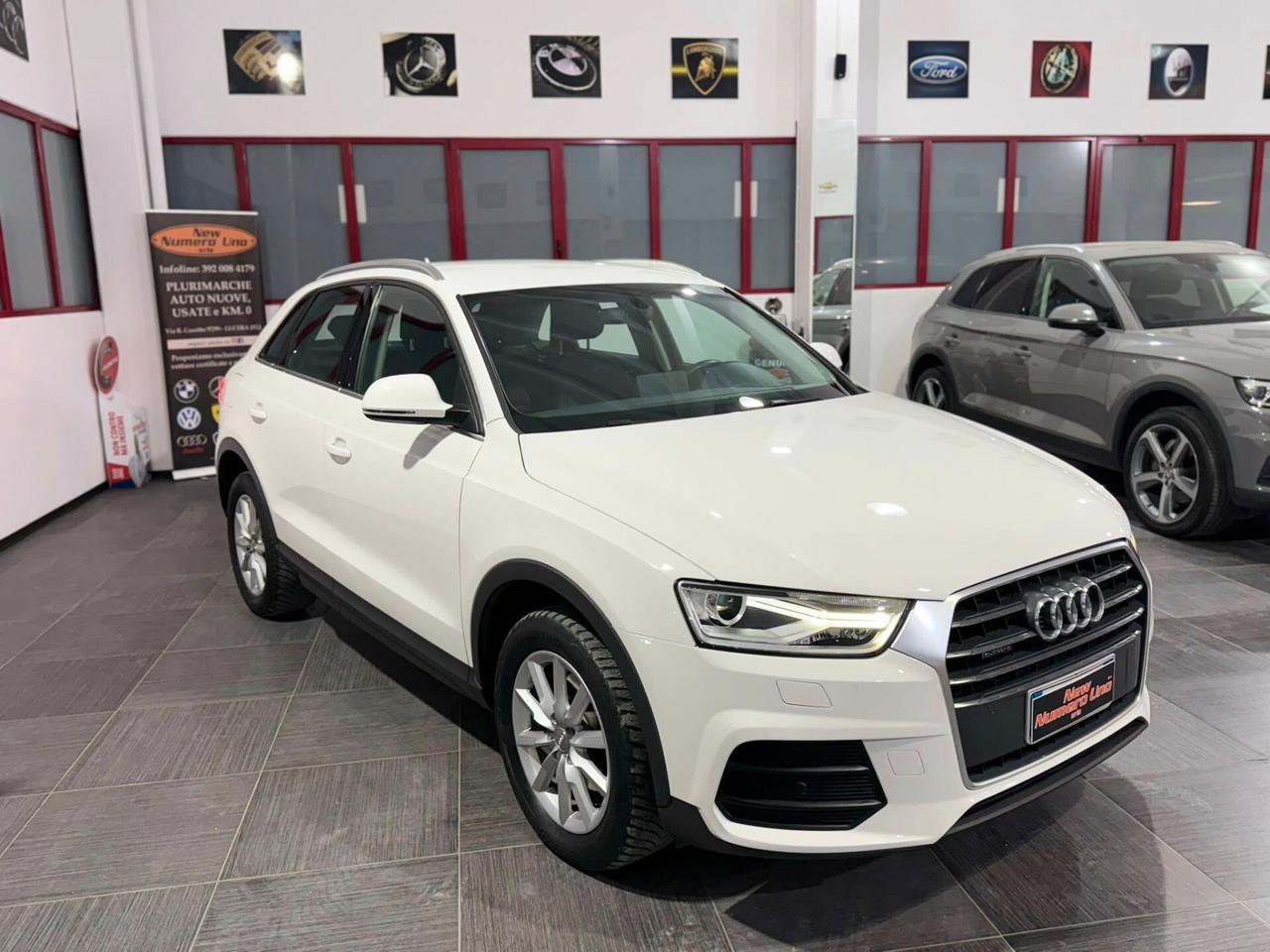 Audi Q3 2.0 TDI S-tronic Business Plus Quattro 150cv 2017