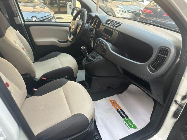 FIAT Panda Ok neo pat. 1.2 Pop