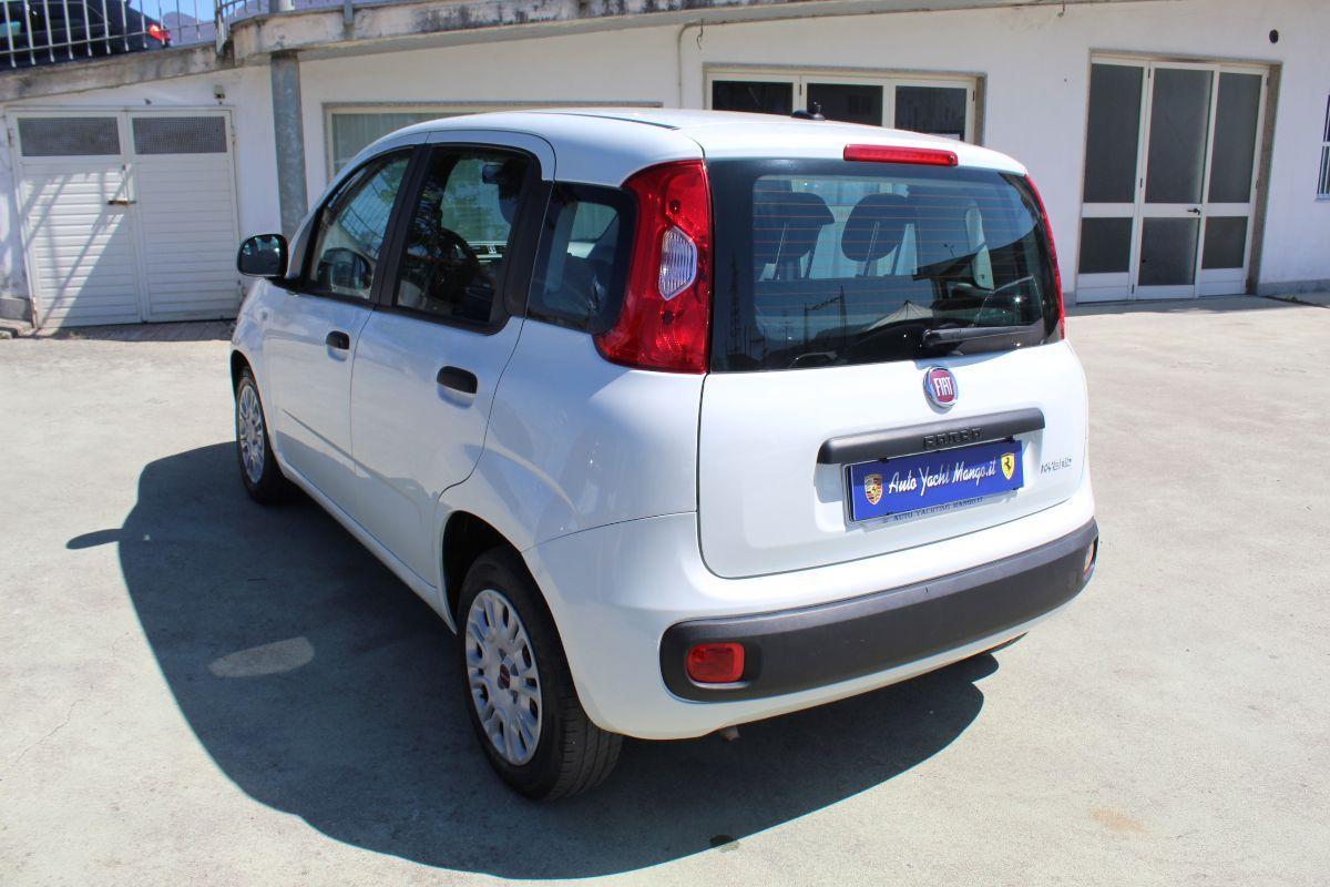FIAT - Panda - 1.0 FireFly S&S Hybrid City Life
