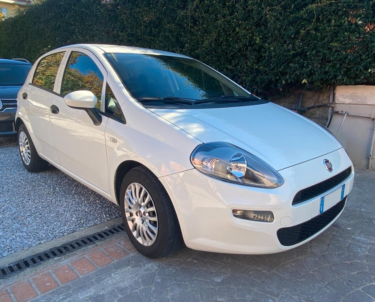 Fiat Punto 1.3 MJT II S&S 95 CV 5 porte Street