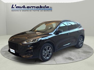 Ford Kuga 2.0 ecoblue ST-Line 2wd 120cv auto