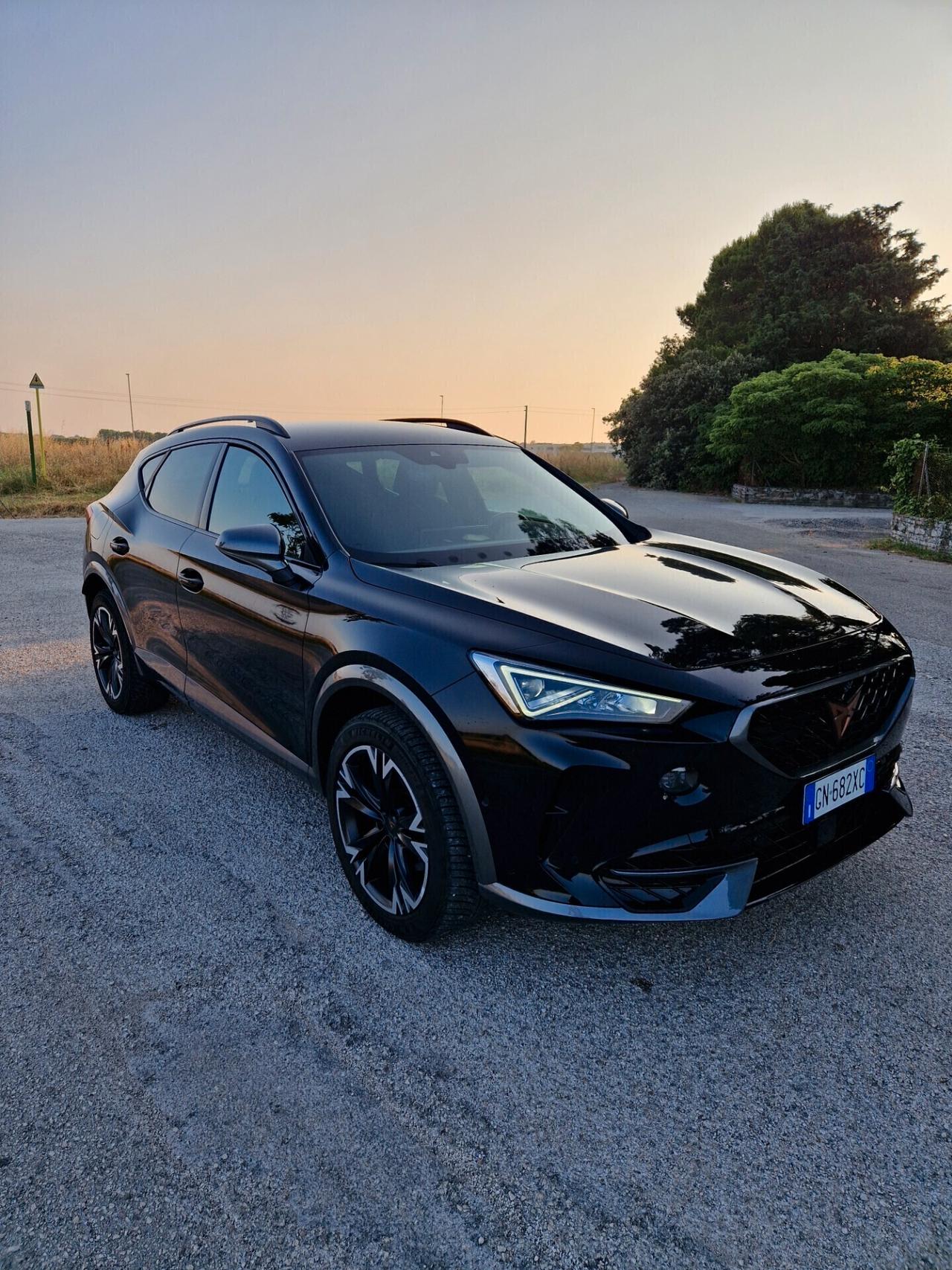 Cupra Formentor 2.0 TDI 4Drive DSG 4x4
