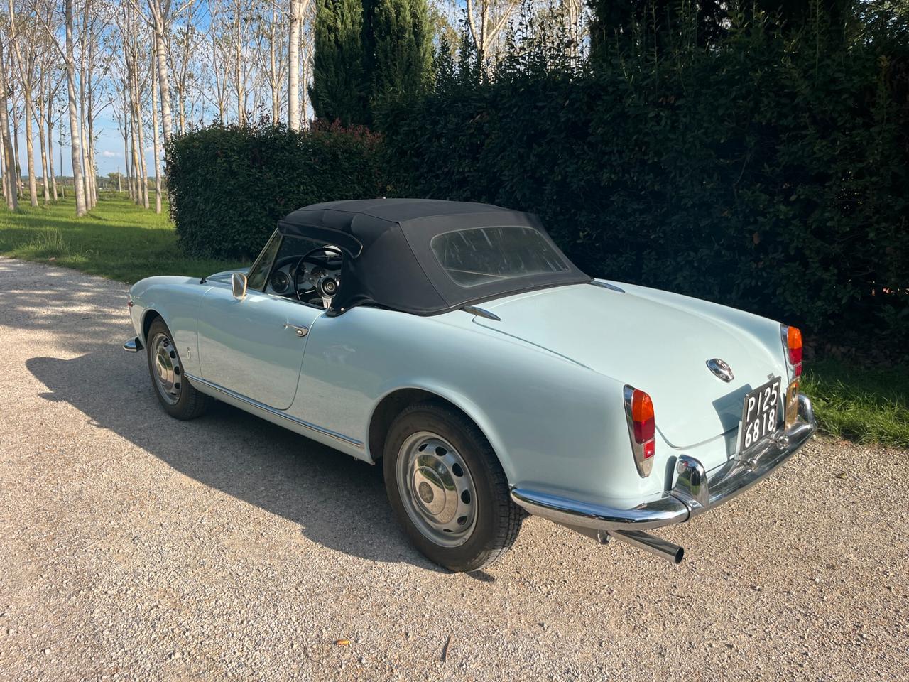 Alfa Romeo Giulia Spider