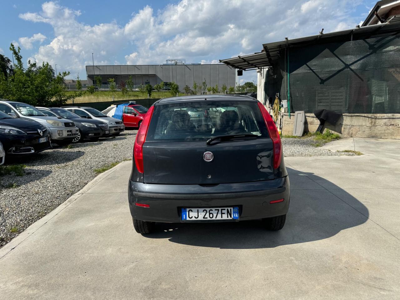 Fiat Punto 1.2i cat 5 porte ELX neopatentati