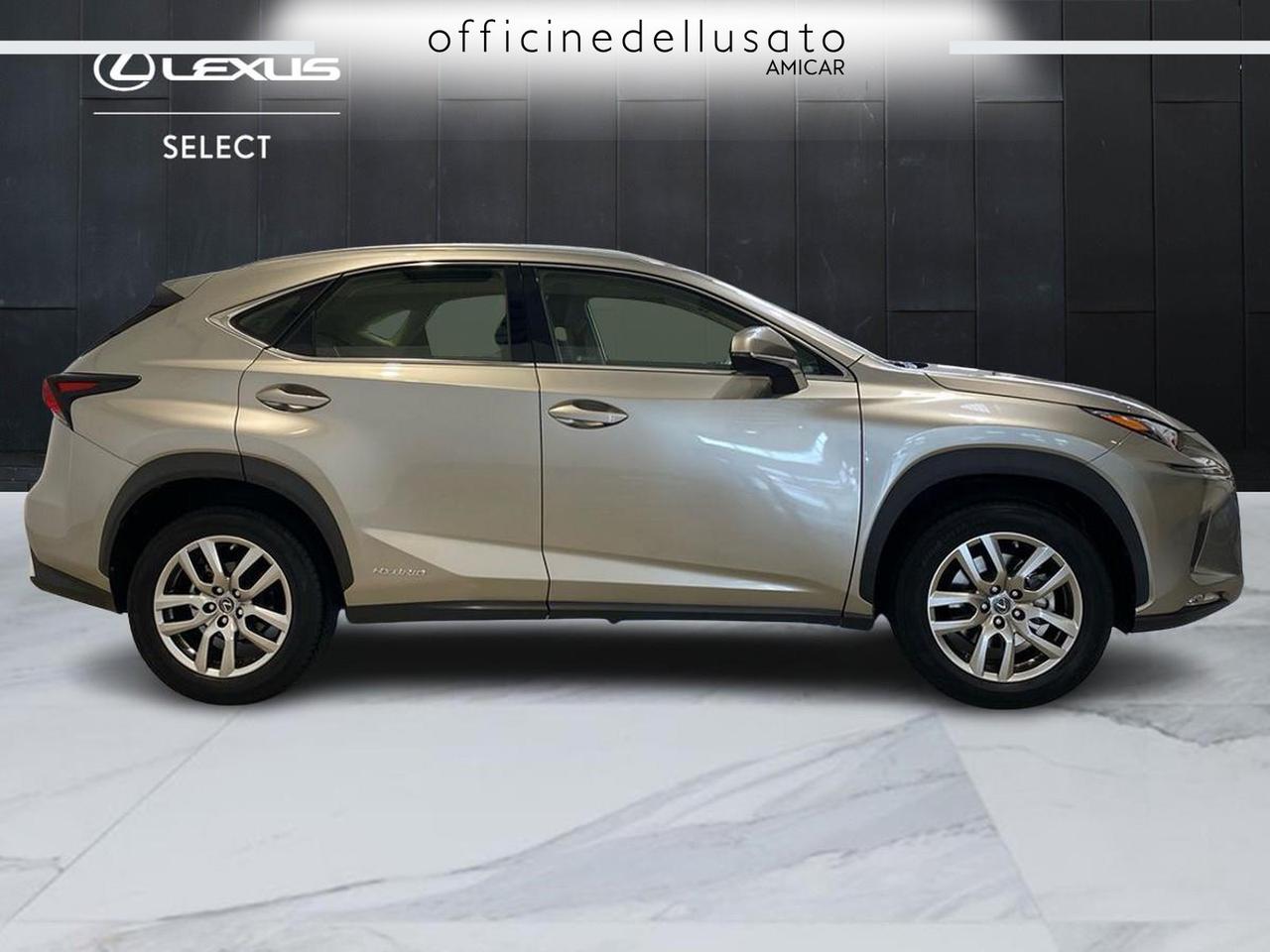 Lexus NX 300 2.5 hybrid business 4wd cvt