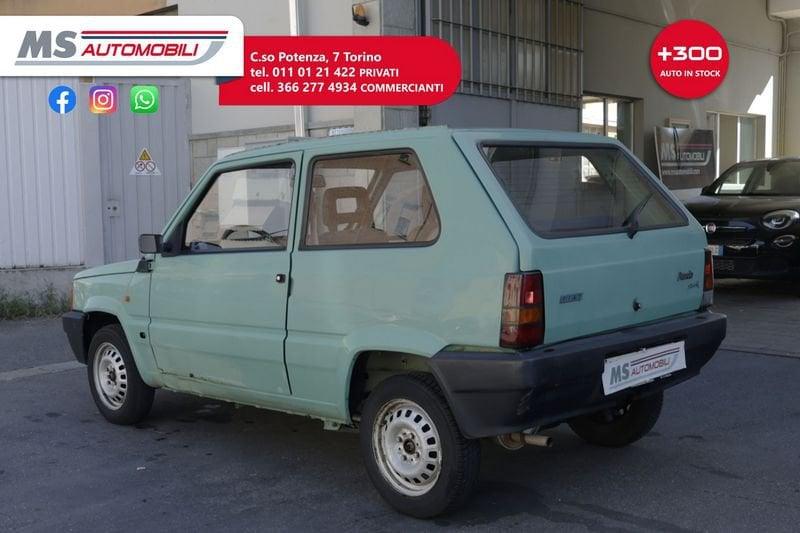 FIAT Panda 900 i.e. cat Young
