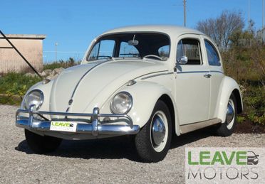 Volkswagen Maggiolino VETRO PIATTO (M1260)