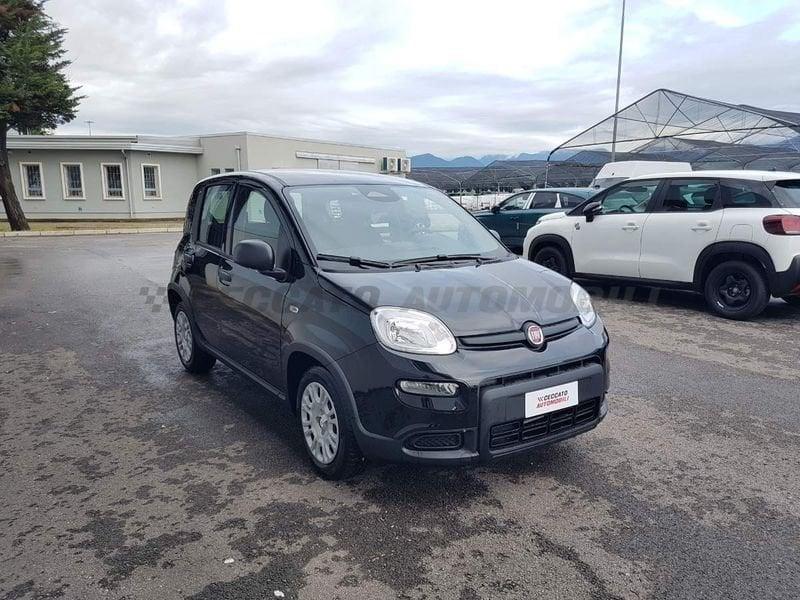 FIAT Panda 1.0 70cv Hybrid Panda