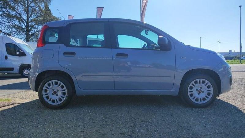 FIAT Panda Panda 1.2 Easy