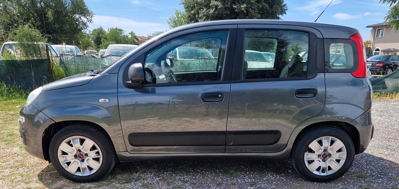 Fiat Panda 1.2 Lounge NEOPATENTATI 51KW
