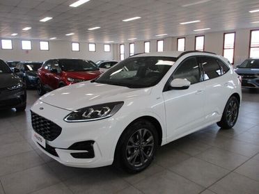 Ford Kuga 1.5 EcoBlue 120 CV aut. 2WD ST-Line