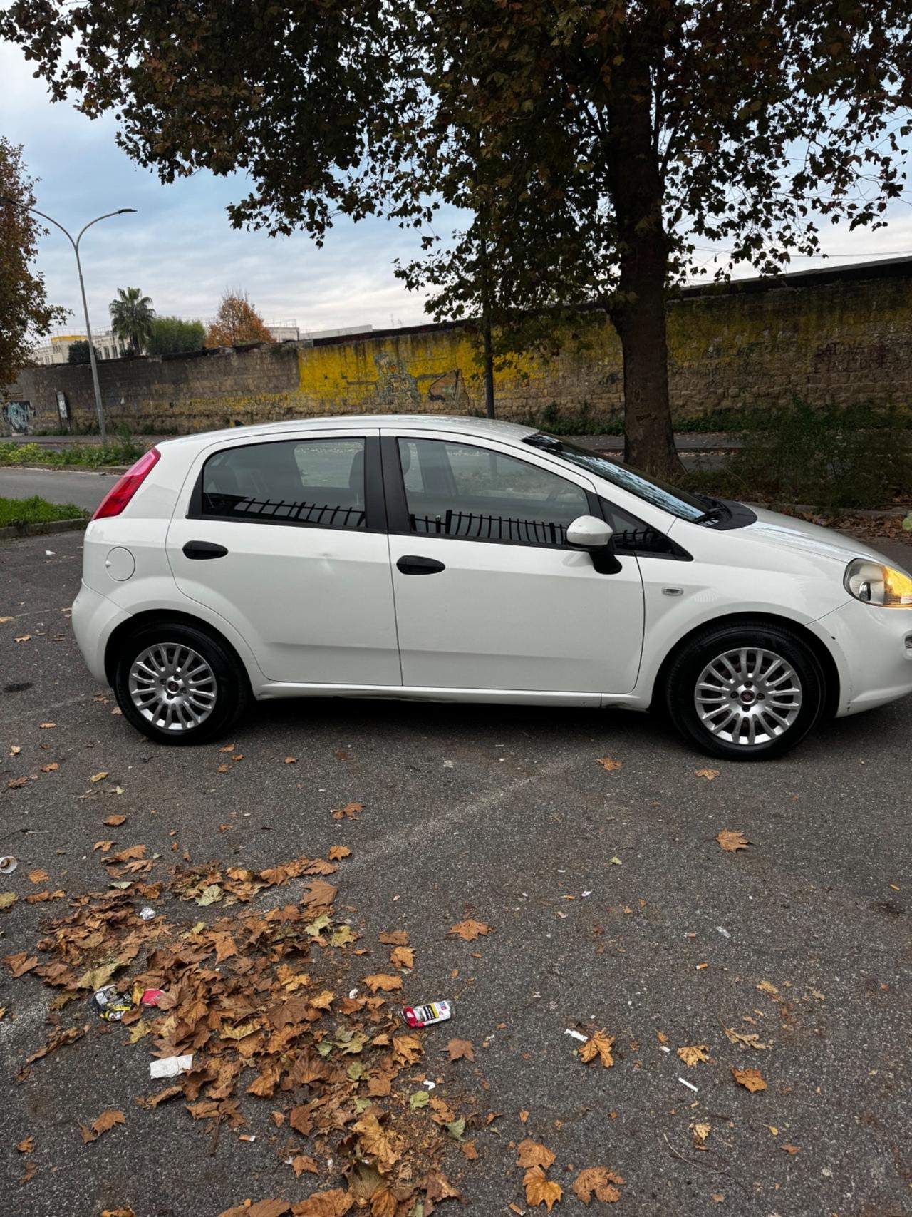 Fiat Punto 1.3 MJT II 75 CV 5 porte Street