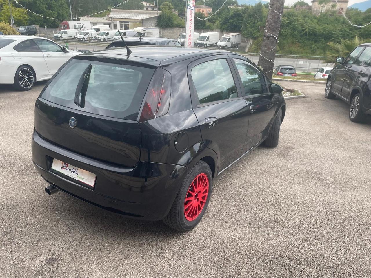 Fiat Punto 1.3 Multijet 16V 5 porte Active NEOPATENTATI