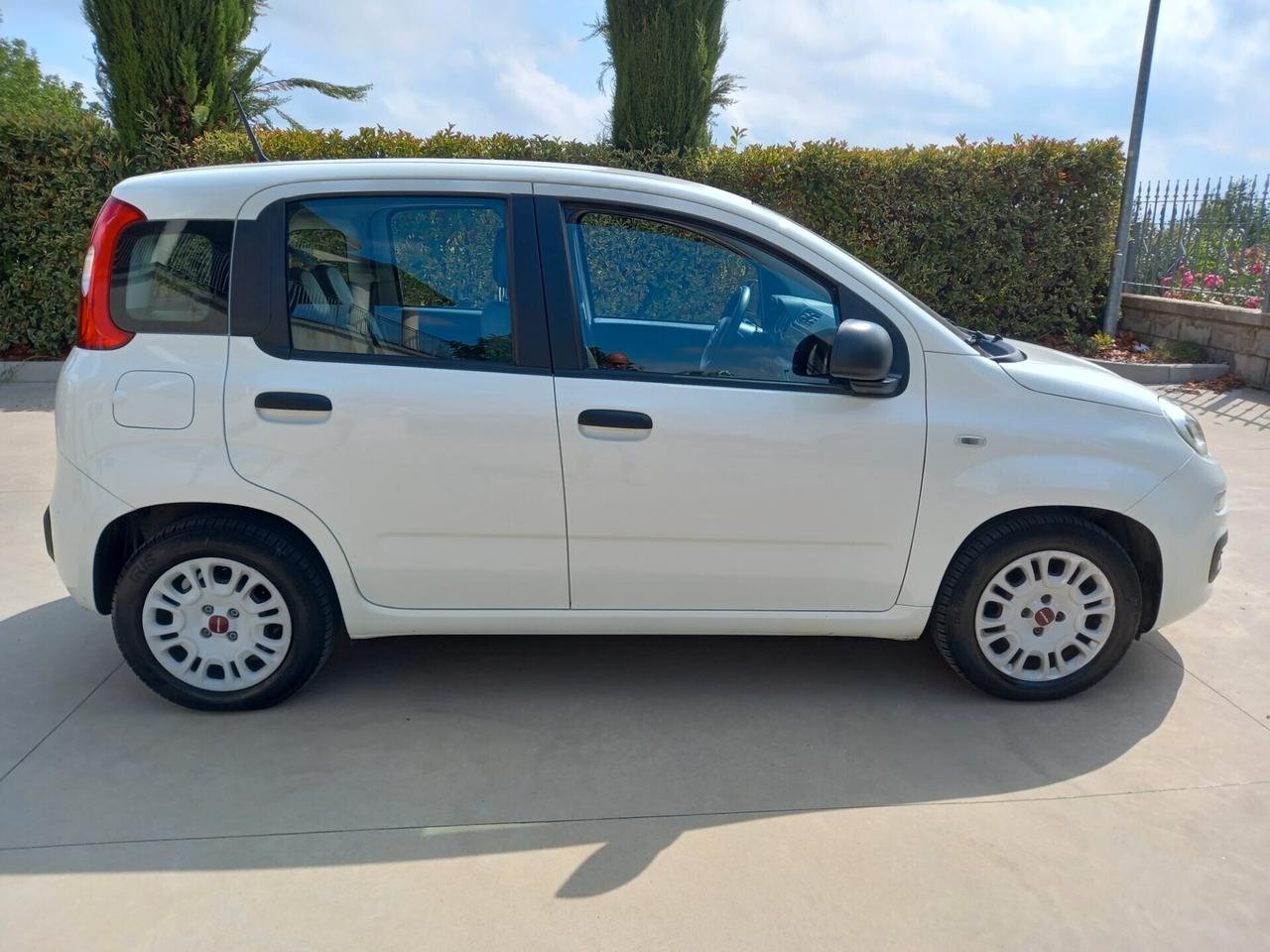 Fiat Panda BENZINA 5 POSTI 2021