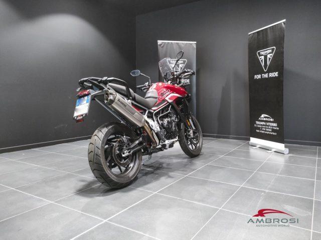 TRIUMPH Tiger 900 GT PRO