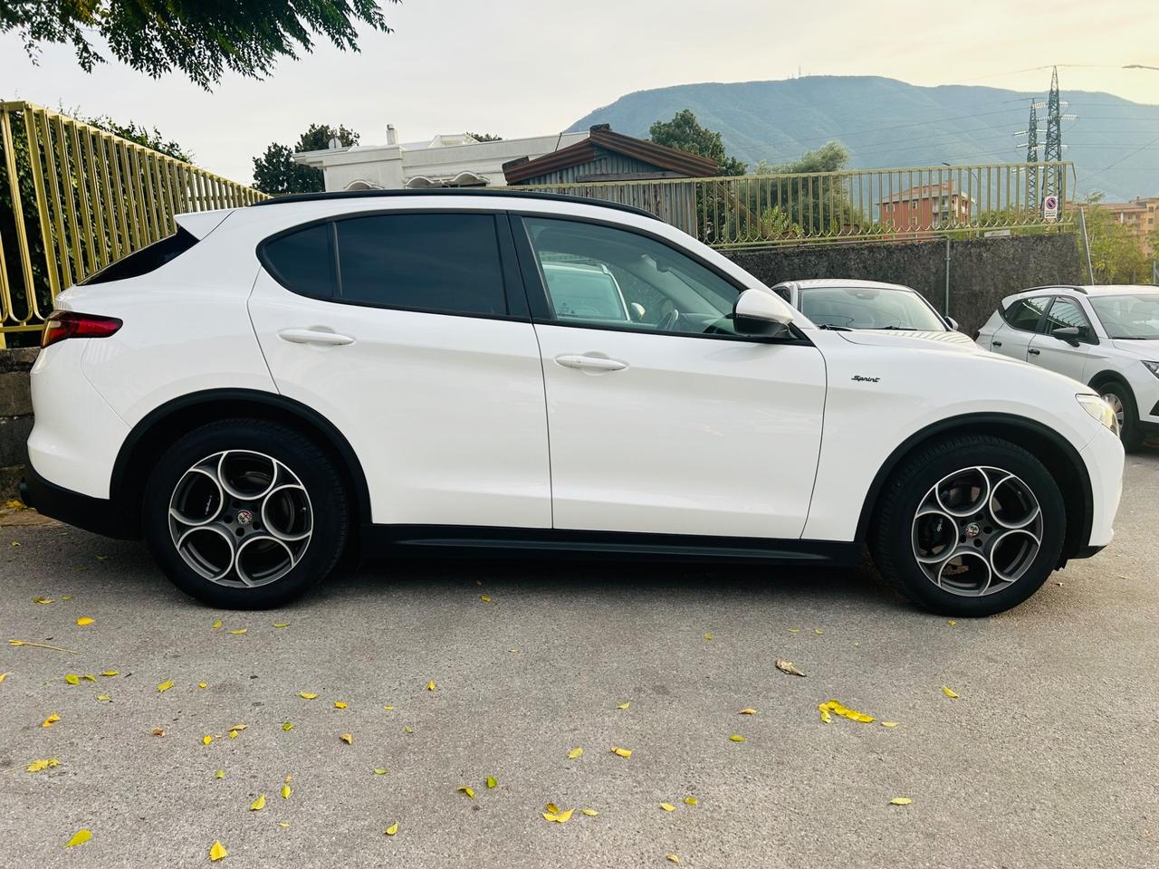 Alfa Romeo Stelvio 2.2 Turbodiesel 190 CV AT8 Q4 Sprint