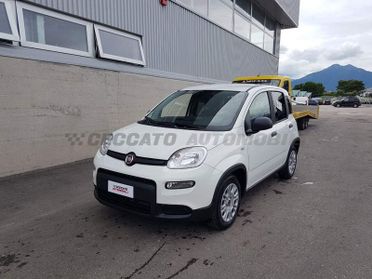 FIAT Panda Van My23 1.0 Hybrid S&S 70cv E6.4 - 2 Posti