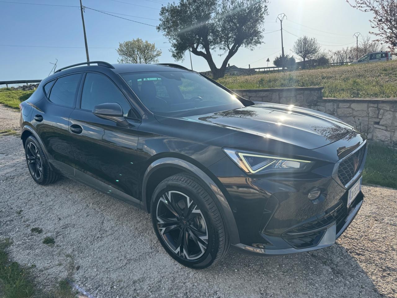 Cupra Formentor 2.0 TDI 4Drive DSG