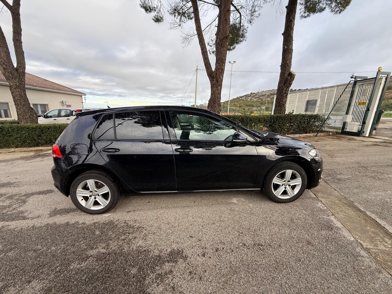 Volkswagen Golf Variant Business 1.6 TDI 105 CV Comfortline BMT