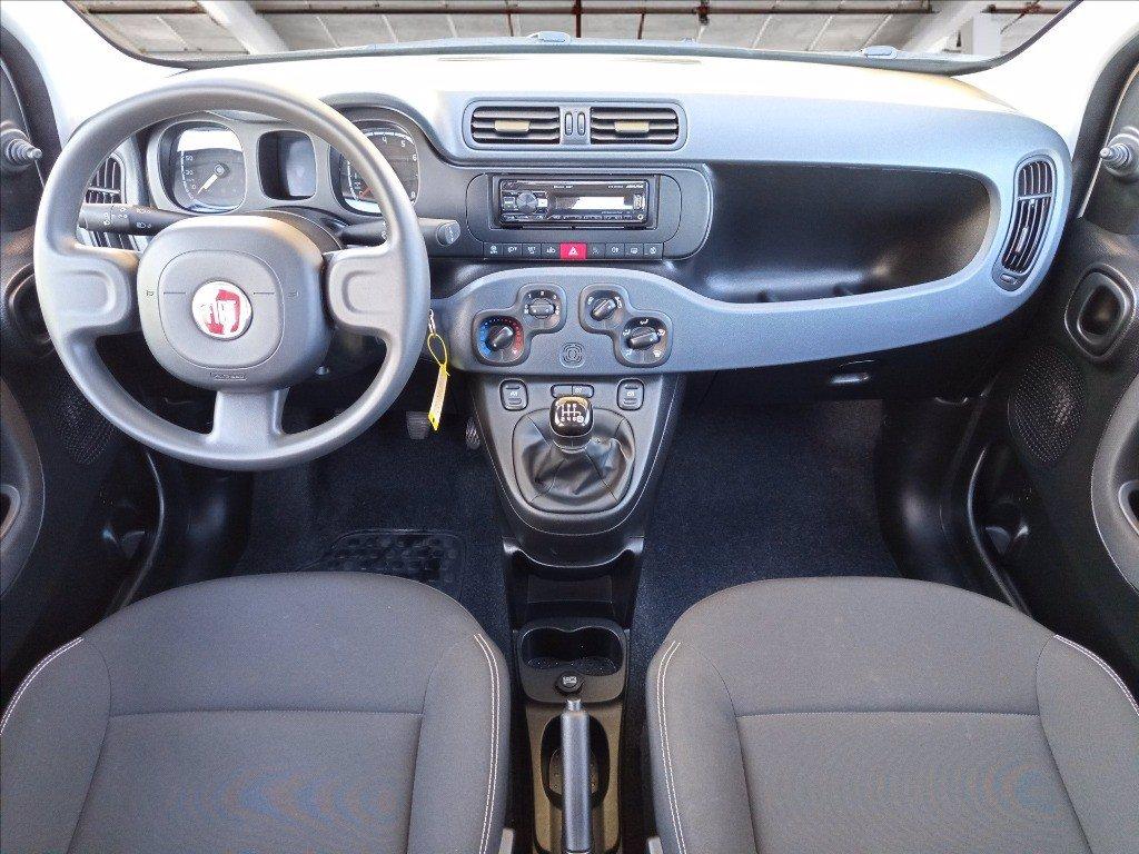 FIAT Panda 1.0 firefly hybrid s&s 70cv del 2024