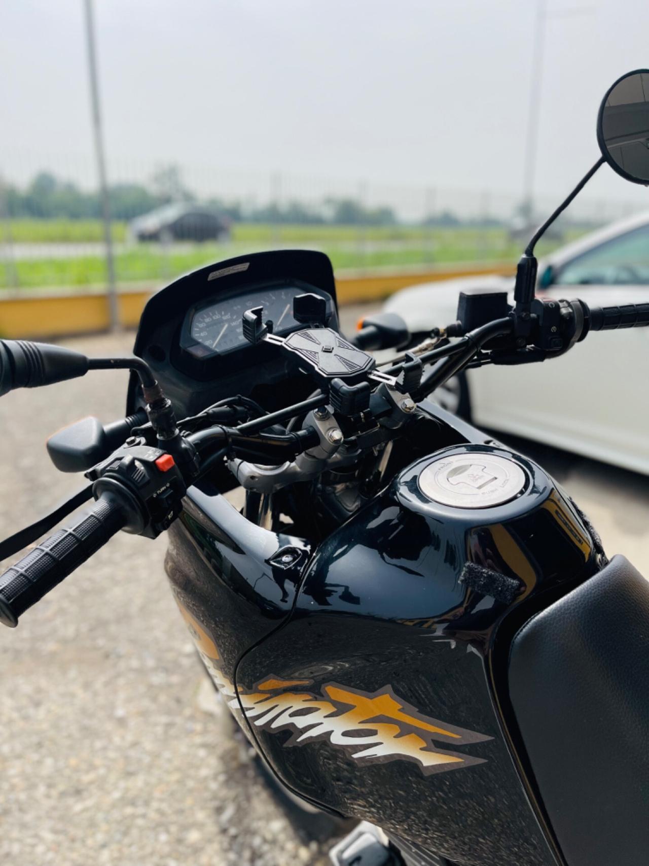 Honda DOMINATOR