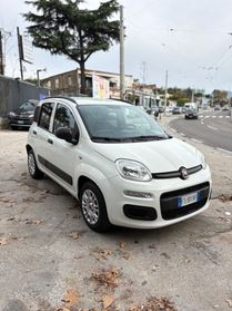 Fiat Panda 1.2 Benzina 69cv 2018