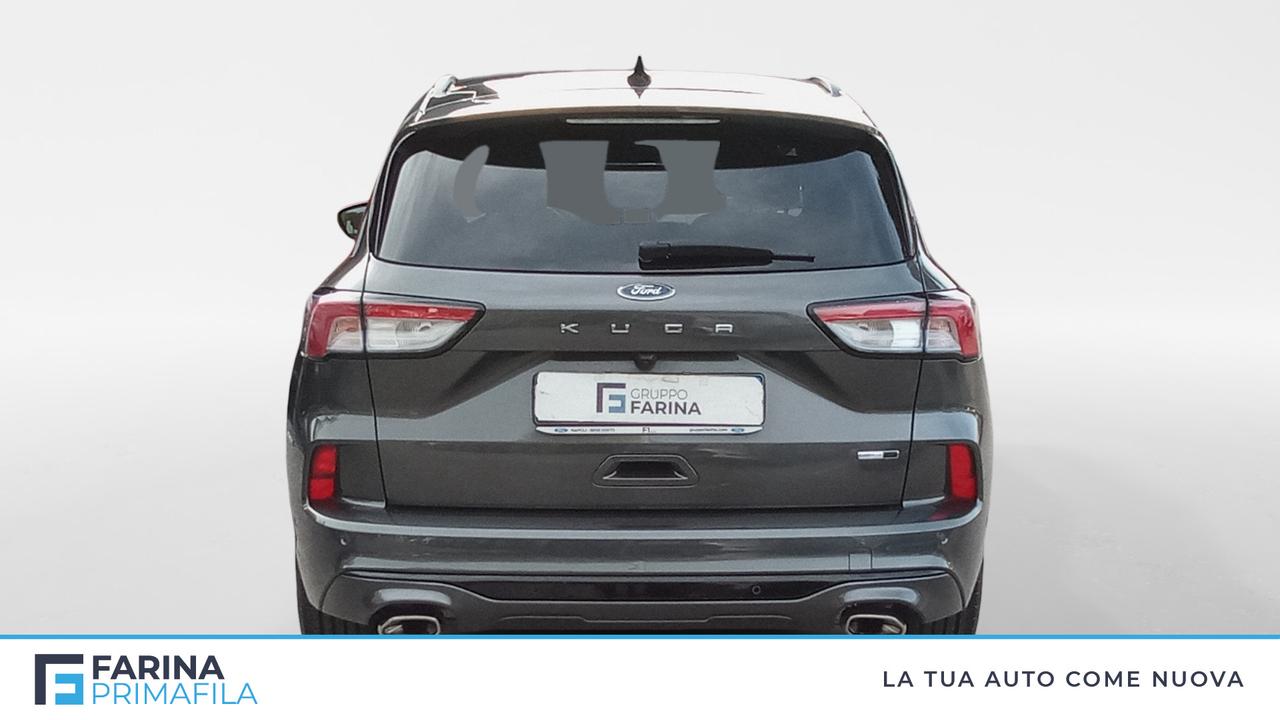 FORD Kuga III 2020 - Kuga 2.0 ecoblue mhev ST-Line 2wd 150cv